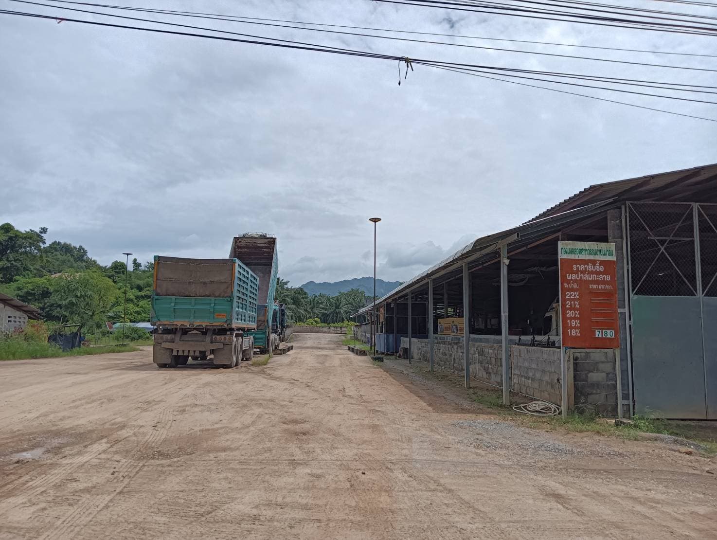 จุดรับซื้อผลปาล์มหน่วยงานทองผาภูมิ