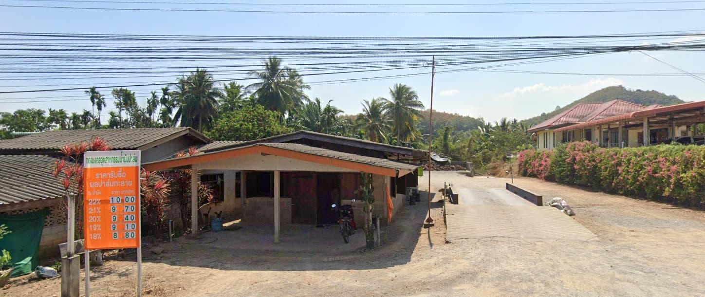 จุดรับซื้อผลปาล์มหน่วยงานบ้านในล็อค
